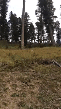 w131313 giphygifmaker GIF