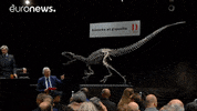euronews dinosaur auction euronews GIF