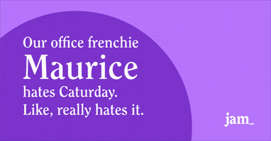 French Dog GIF by Jam_