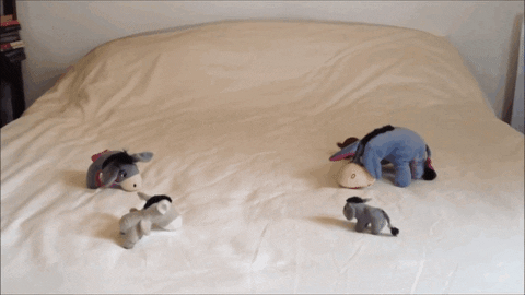 day toy GIF