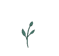Khadzmulla flower plant leaves floral Sticker