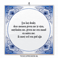 Nl Wijsheid GIF by Tegelspreuken.nl