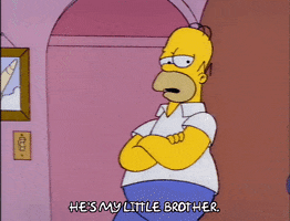homer simpson GIF