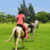 Married At First Sight Lol GIF by Lifetime