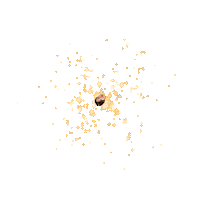 Ziyeon Sticker by Instagram Tag In Virtual GIF Booth