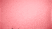 Pink Joker GIF by BDHCollective