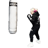 Training Heavy Bag Sticker by The Boxing Fitness Gym
