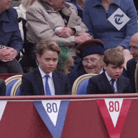 Prince George Hair GIF
