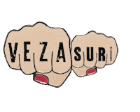 girl power cerveza artesanal Sticker by Veza Sur Brewing Co
