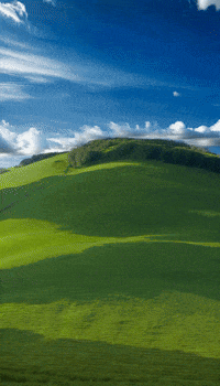 Sa Satisfy GIF by Aleksey Efremov