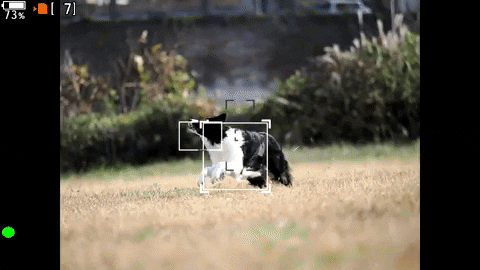 dpreview giphyupload GIF