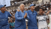 palmas parabens GIF by SE Palmeiras