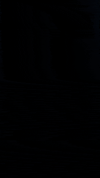 Lets Play GIF by figopet