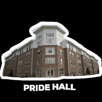 sluhousing housing roomie southeastern selu GIF