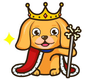 Dog GIF by JPedicini