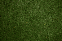 Happy In Bloom GIF by Linnea Bullion