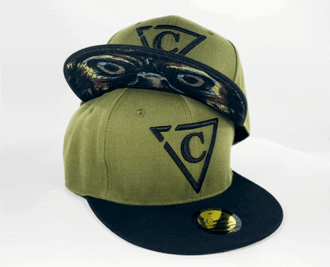 Capichecaps giphyupload green black special GIF