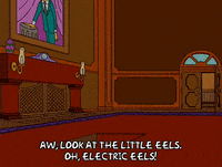talking season 14 GIF