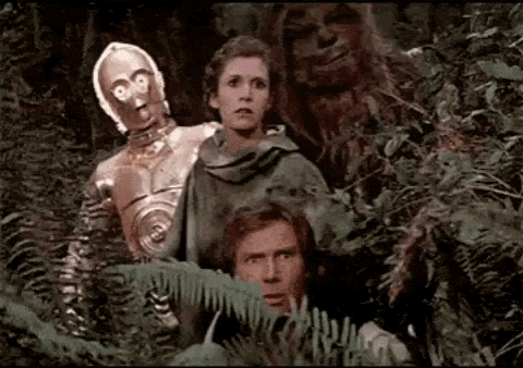 sheafite giphyupload GIF