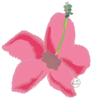 Vuelacolibri rosa flor vuelacolibri Sticker
