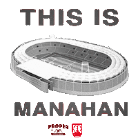 Football Stadium Sticker by Proper Cuts & Shaves