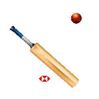 Cricket Sticker by HSBC India