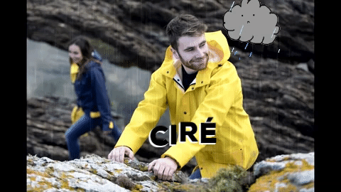 cirÃ© guy cotten GIF