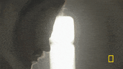 genius tv GIF by National Geographic Channel