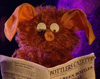 Surprised Double Take GIF by Fire Mountain Productions