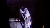 Steven Tyler 1980S GIF by Aerosmith