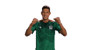 World Cup Mexico Sticker by MiSelecciónMX