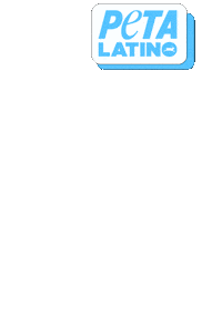 10 Years Vegan Sticker by PETA