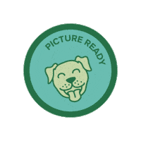 Bark Rangers Sticker by Middlesex_County