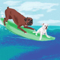 Surf Pups