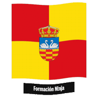Castilla Y Leon Flag Sticker by Formación Ninja