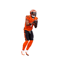 Celebrating Cincinnati Bengals Sticker by NFL