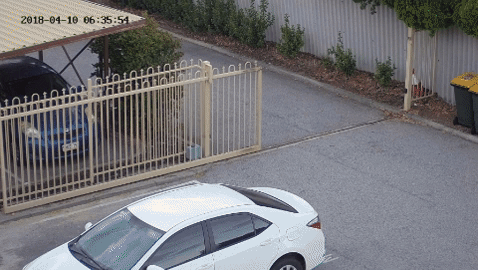 garden themews GIF