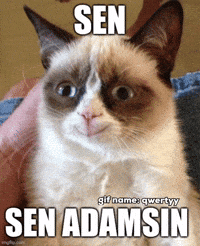 Sen Qwertyy GIF