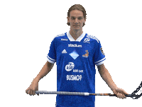 Floorball Salibandy Sticker by F-liiga