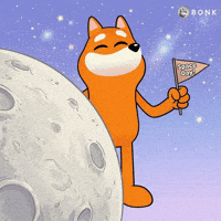 Cartoon Character Planet GIF by BONK