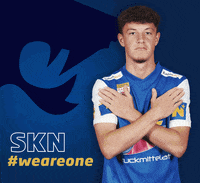 Football Sport GIF by SKN St. Pölten