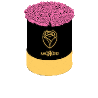 Pink Love Sticker by Amoroses