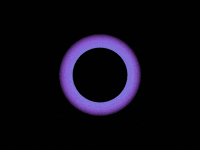 art yolo GIF by Bryan Unger
