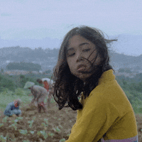 MilesFilmsOfficial  GIF
