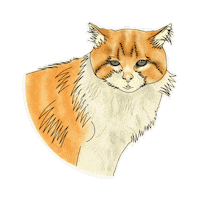 Art Cats Sticker