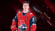 HClokomotiv loko lokomotiv локомотив локо GIF
