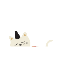 choandkang relaxed floating cat cat king 조공 Sticker
