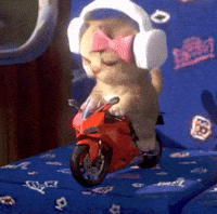 Cat Car GIF