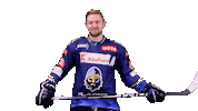 Hokej Sticker by Rytíři Kladno