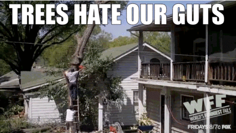 tree fails GIF by World’s Funniest